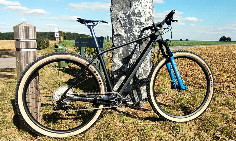29er Cross Country Bike aus Carbon
